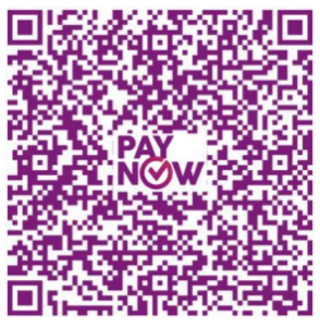 Illustrative sample PayNow QR code, not a payment request